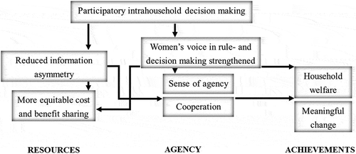 Figure 2. Hypothesised pathways of change by which participatory intrahousehold decision making affects different dimensions of women’s empowerment