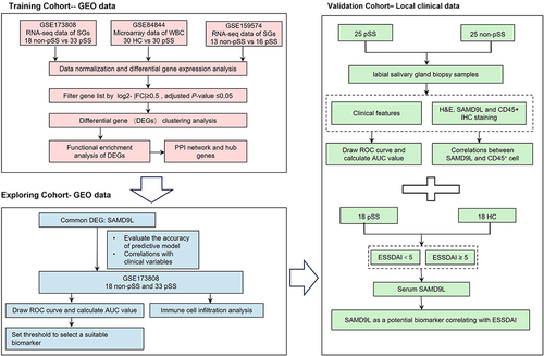 Figure 1 Flowchart of the study.