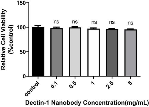 Figure 9 Effects of nanobodies on the proliferation of HCECs. HCECs were seeded onto 96-well cell-culture plates and treated with different concentrations of specific nanobodies of dectin 1 for 24 hours. pP<0.05 considered statistically significant.