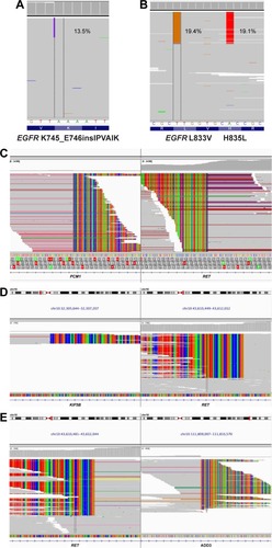 Figure 2 IGV screenshots displaying the reads of each mutation subtype identified by NGS.