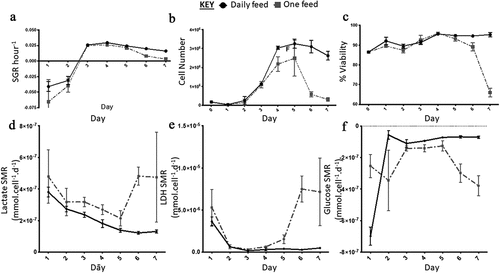 Figure 6. Growth dynamics. (a) Specific growth rate (SGR) increased from negative SGR to positive SGR from day three onwards peaking at day four for the daily feed (DF) condition and day three for the one feed (OF) condition. OF had a greater decrease in SGR over the seven-day culture period, SGR differed between the two conditions on day one (p = 0.0012). (b) Cell number decreased from day five onwards for both conditions, similar to the SGR OF has the most notable decrease in cell number and cell viability (c). From day four onwards there was a significant difference in cell number yield between the two conditions: day 4 (p < 0.0001); day 5 (p = 0.0002); day 6 (p < 0.0001); day seven (p < 0.0001). Error bars indicate standard deviation, n = 6. Lactate SMR decreased throughout the passage for daily feed (DF), one feed (OF) decreased until day five to six when it increased significantly (p = 0.0079) (d). Lactose dehydrogenase (LDH) specific metabolite rate (SMR) was highest from day five to six for the OF condition, the DF condition had low levels of LDH production over the seven-day culture period (e). Significant differences in SMR between the two conditions for both lactate and LDH were observed at day six (p < 0.0001) and day seven (p < 0.0001). Glucose SMR was high at day one for the DF condition after which it significantly decreased from day two onwards and plateaued (f). Error bars indicate standard deviation, n = 3