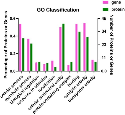 Figure 4. Total GO Classification Statistics. Note: the bars in the figure represent the secondary classification of a GO. The higher the bar, the more proteins or genes in this secondary classification; the abscissa represents the secondary classification terms of GO, and the ordinate (left) represents the secondary classification of GO. The percentage of proteins or genes in the second-level classification to the total number of proteins or genes in the second-level classification. The ordinate (right) represents the number of proteins or genes annotated to the second-level classification; the three colour blocks indicate the three branches of GO type.