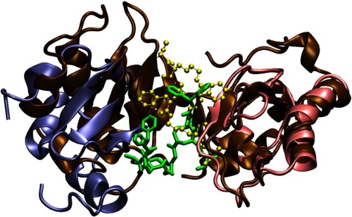 Figure S5 Comparison of a bivalent complex formed by BIR2, BIR3 and compounds 9, and a complex formed by two BIR3 domains and a bivalent Smac mimetic (PDB entry 2VSL). The structure of the complex formed by BIR2, BIR3 and compound 9, respectively, shown in iceblue and pink NewCartoon, and green Licorice, is the same one shown in Figure 6A. In this structure, the arrangement of the BIR2 and BIR3 domains is compact, similar to PDB entry 2VSL, whose BIR3 domains are shown in ochre NewCartoon representation and the ligand in yellow CPK representation.
