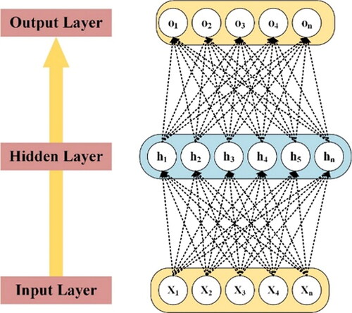 Figure 4. MLP network diagram.