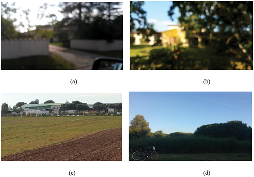 Figure 1. Examples of 4 photographic images acquired during the LandSense project and the calculated blur level. (a) paysages pilot, blur level 162, (b) paysages pilot, blur level 216, (c) natura pilot blur level 248 and (d) MijnPark.Nl pilot blur level 249. Note these all fail to meet the blur threshold used in LandSense but could still be useful to other studies.
