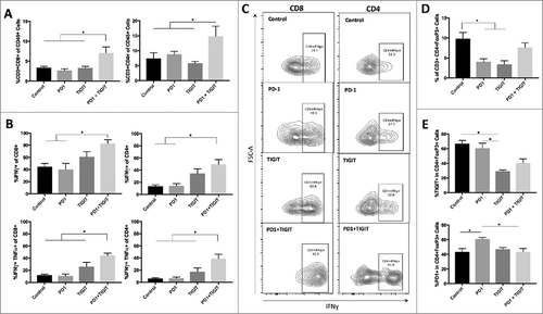 Figure 6. Combination treatment restores T cell effector function and anti-TIGIT therapy downregulates Treg suppressor phenotype. A. Frequency of brain infiltrating CD8+ cells and CD4+ cells were significantly elevated in the combination group relative to control, anti-PD-1 monotherapy, and anti-TIGIT monotherapy groups (p = 0.0059 and 0.0230 respectively). B. Combination treatment was correlated with significantly greater IFNγ expressing CD8+ and CD4+ cells (p = 0.0066 and 0.0014 respectively). IFNγ and TNFα dual-expressing CD8+ and CD4+ cells were also significantly higher in the combinatorial group (p = 0.0002 and 0.0008 respectively). C. Sample flow contour plots demonstrating shift in IFNγ expression in CD4+ and CD8+ cells across treatment arms. D. An overall significant difference was noted in the frequency of brain infiltrating CD4+FoxP3+ regulatory T cells (Tregs) in the four treatment arms (p = 0.0080). The percentage of Tregs was significantly reduced by anti-PD-1 and anti-TIGIT monotherapies (p = 0.0496 and 0.0209 respectively), but not significantly changed with combination treatment when compared to untreated, PD-1 monotherapy, and TIGIT monotherapy groups (p > 0.9999, 0.4824, and 0.2645 respectively). E. The expressions of TIGIT and PD-1 on Tregs were significantly different in the overall comparisons of all four treatment arms (p = 0.0042 and 0.0098 respectively). TIGIT expression on Tregs was significantly reduced in the anti-TIGIT monotherapy group only relative to control arm (p = 0.0082). PD-1 expression on Tregs demonstrated a significant increase in the anti-PD-1 group compared to control (p = 0.0145).