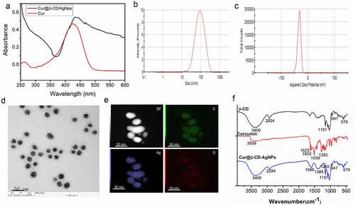 Figure 1. Characterization of Cur@β-CD/AgNPs. (a) Results of UV-vis absorption. (b) Hydrodynamic average diameter of Cur@β-CD/AgNPs by DSL. (c) Zeta potential of Cur@β-CD/AgNPs. (d) TEM images of Cur@β-CD/AgNPs. (e) Ag and C element mapping of Cur@β-CD/AgNP using EDX. (f) FTIR of β-CD, Curcumin and Cur@β-CD/AgNPs.