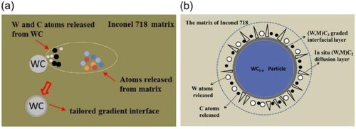 Figure 27. Schematic illustrating the mechanism for the formation of the gradient interface between the WC particles and Inconel 718 matrix: (a) Released atoms and the laser energy provided material and energy conditions sufficient for the formation of the gradient interface and the diffusion layer; (b) Formation mechanisms of (W,M)C3 and (W,M)C2 carbides within the gradient interface and diffusion layer. Reprinted with permission from [Citation190,Citation191].