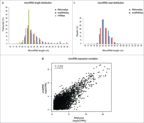 Figure 5. Representation of microRNAs and isomiRs. (A) Length distribution of the microRNA/isomiRs transcripts in the miRbase database or detected by smallRNASeq and RNAomeSeq. (B) The Pearson-correlation between and X-Y scatter plot of microRNA/isomiRs expression between RNAomeSeq and smallRNASeq. (C) Distribution of microRNA/isomiRs reads detected by smallRNASeq and RNAomeSeq in regard to length.