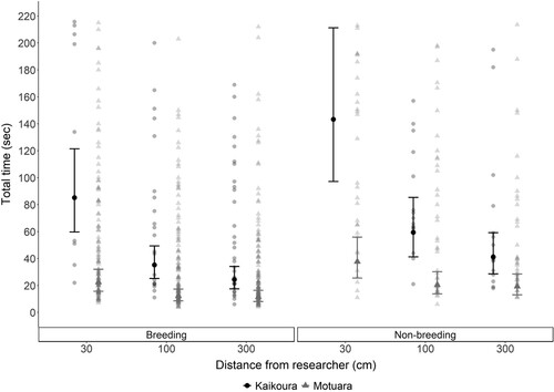 Figure 2. Fitted mean total time (±SE) for South Island robins to remove five mealworms, from first to last mealworm, at three distances (30, 100, 300 cm) from researcher at Kaikoura (mainland site, black dots) and on Motuara Island (grey triangles) depending on the season (breeding, non-breeding season). Fitted means were back transformed from a log scale to exponential for the purpose of this figure. Raw values are also given, with darker shades indicating more overlapping values.