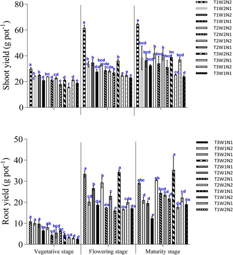 Figure 5. Dry yield of shoot and roots of rice at different growth stages grown under different temperature, water and nitrogen fertilizer management. T1, T2 and T3 are growth chamber temperatures at 33, 34 and 36 °C, respectively. W1, W2, are intermittent watering and continous flooding, respectively, while N1 and N2 are control and 90 kg N ha−1, respectively.