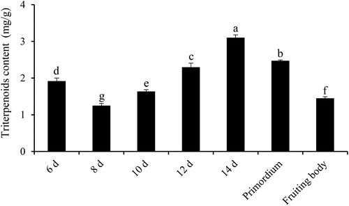 Figure 4. Triterpenoids content of S. baumii at different developmental stages (p < 0.05).