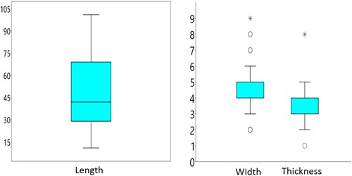Figure 2. A graphical representation of the morphometric results of this study. The raw data are presented in Table 1.