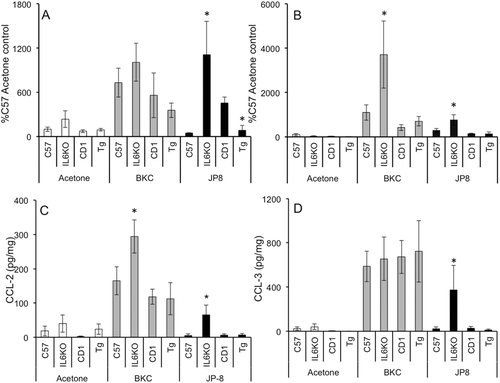 Figure 2.  BKC and JP-8 differentially modulate CCL2 and CCL3 expression in mouse skin. Mice were treated daily for 7 days with acetone, benzalkonium chloride, or JP-8, and 4 mm skin biopsies were collected and processed for mRNA and protein analysis. Expression of (a) CCL2 and (b) CCL3 mRNA was analyzed via real-time RT-PCR; expression differences were normalized to 28s rRNA expression and presented as a percentage of level in samples from acetone-treated C57BL/6 controls. Skin (c) CCL2 and (d) CCL3 protein expression was determined by Milliplex MAP multiplex ELISA as per manufacturer instructions. Data presented as means ± SE (n = 8). *Value significantly different from corresponding WT control (p ≤ 0.05).