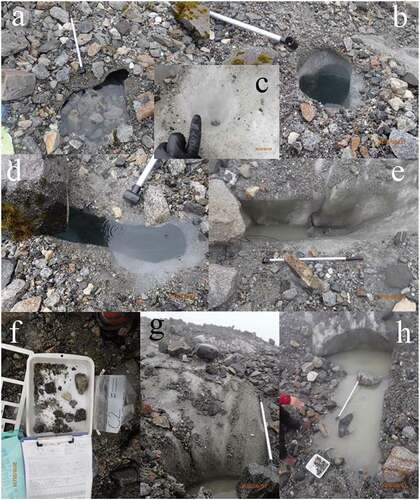 Figure 3. Photographs of Hailuogou Glacier supraglacial pools that depict the various shapes and different ice surface–to–water depths observed. Some supraglacial pools had (a), (d) water located at the surface of the ice and others had (b), (e) water levels below the surface of the glacier ice. (c) The genesis of a pool was captured in the upper zone of the ablation tongue. (f) Typical sediment sampled in a supraglacial pool, (g) sediment precipitously positioned on ice above a pool, and (h) the formation of a pool at the base of a small crevasse. The velocity meter in the images is 1.14 m long
