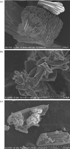 Figure 2. SEM images of the precipitates from the Sr solubility measurement experiment. (a) 10 times diluted Fukushima seawater sample at pH 8.1, T = 25 °C, [Sr2+]int. = 10−2 M, (b) artificial seawater sample (no dilution) at pH 8.6, T = 25 °C, [Sr2+]int. = 10−2.5 M and (c) artificial seawater sample (no dilution) at pH 9.4, T = 90 °C, [Sr2+]int. = 10−2.5 M.