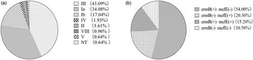 Figure 1. Distributions of serotyping and erythromycin-resistant genes in GBS isolates. (A) Serotype distribution of 311 GBS isolates; (B) distribution of erythromycin resistance genes in 237 GBS isolates.
