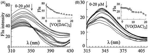Figure 2. Intrinsic fluorescence spectra of HRP excited at 280 nm (A) and 295 nm (B) in 0–20 µM concentrations of vanadyl diacetylcurcumin. In the inset figures fluorescence intensity at λmax has been plotted against molar concentration of the complex.