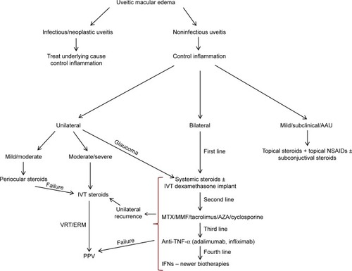 Figure 5 Treatment algorithm for uveitic macular edema.