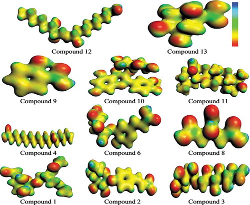 Figure 10. MEP surface views of studied compounds.