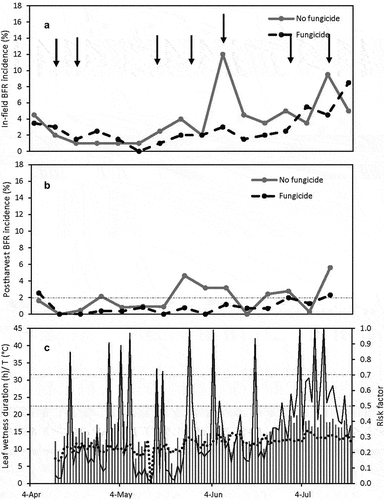 Figure 5. (a) In-field botrytis fruit rot (BFR) incidence and (b) Postharvest BFR incidence for weekly evaluations at Field 1 in 2022. The vertical arrows (↓) indicate the date on which fungicides were applied (see Table 5). The horizontal dashed line indicates 2% incidence. (c) Leaf wetness duration (vertical bars) in continuous hours per day, average temperature during leaf wetness period (dashed line) and BFR risk factor (solid line). The two horizontal dashed lines indicate risk factors of 0.5 and 0.7, respectively.