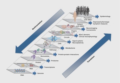 Figure 1 The spectrum of intermediate phenotypes of treatment outcome. Candidate intermediate phenotypes (IPs) for MDD exist along a continuum from the genome to the clinical phenotype, and each IP can be characterized with set of particular experimental measures (genomics, proteomics, neurophysiologic measures, neuroimaging, symptom measures, etc). Each level along the continuum can be “translated” higher to one nearer the clinical symptom phenotype, or “backtranslated” lower to one nearer the genome and presumed genetic risk factors. Reproduced from: www.brain.ucla.edu. Copyright © UCLA Laboratory of Brain, Behavior, and Pharmacology 2014