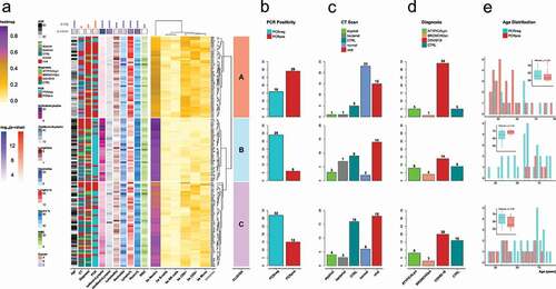 Figure 2. a) Heatmap of the individual samples based on the values of 5meC-calculated cell types: neutrophils (bs Neutro); B cells (bs B-cells); NK cells (bs NK cells); CD4 T cells (bs CD4+); CD8 T cells (bs CD8+); monocytes (bs Mono). Samples are divided in three groups based on the hierarchical clustering: cluster A (salmon); cluster B (light blue); cluster C (orchid). Technical replicates are labelled in blue. The annotations on the left refers to: age (Age); CT scan classification (CT): atypical, bacterial, non-pneumonia control (CTRL), pneumonia normal (normal), viral; diagnosis classification (Diagnosis): atypical pneumonia (ATYPICALpn), bronchopneumonia (BRONCHOpn), COVID-19 pneumonia (COVID-19), non-pneumonia control (CTRL); PCR test positivity (PCR): negative (PCRneg), positive (PCRpos); ratio between 5meC-calculated Neutrophils and Lymphocytes (bsNeutroLympho); ratio between Neutrophil and Lymphocyte counts (AbsNeutroLympho); Lymphocyte counts (LymphoAbs); Neutrophil counts (NeutroAbs); Lymphocyte percentage (Lympho %); Neutrophil percentage (Neutro %); white blood cell counts (WBC). Statistical analysis of the distribution of the annotation features among the three clusters: blue for continuous values (Kruskal-Wallis); red for categorical values (Fisher’s exact test): Diagnosis (controls, COVID-19 pneumonia, non-COVID-19 pneumonia); CT (control, viral, non-viral); PCR (positive, negative); statistical significance (p-sig; ns = p-val >0.05; * = p-val <0.05; ** = p-val <0.01; *** = p-val <0.001; **** = p-val <0.0001). The p-value coloured boxes below the p-sig, and above the annotations represents the -log10(p-value). b,c,d) Bar Plot of counts for each category of PCR test positivity (b), CT scan results (c), and Diagnosis (d) in each cluster. (e) Age distribution grouped by PCR test positivity for each cluster. Positive: groups II, and III vs. negative: groups I, IV, and IV (refer to Supplementary Figure 1).