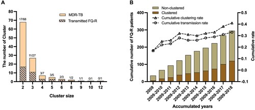 Figure 4. The proportion of transmitted FQ-R in clustered MDR-TB (A) and cumulative rate in FQ-R patients (B). (A) The bar indicates the number of clusters for each cluster size, and shaded areas refer to MDR-TB clusters with transmitted FQ-R in the clusters. Numbers on the bars indicate the cluster number of transmitted FQ-R/MDR-TB clusters in the same cluster size. (B) The bar indicates the cumulative number of FQ-R patients, the triangle indicates the FQ-R cumulative clustering rate (FQ-R clustered strains/FQ-R strains) and the circle indicates the cumulative transmission rate (transmitted FQ-R strains/FQ-R strains). Abbreviations: FQ-R, FQ resistance.