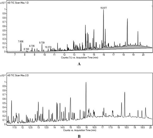 Figure 2. GC/MS spectrum of leaf and stem essential oil from Capparis trinervia Hook. F. & Thomson. (A) GC/MS spectrum of leaf essential oil; (B) GC/MS spectrum of stem essential oil.