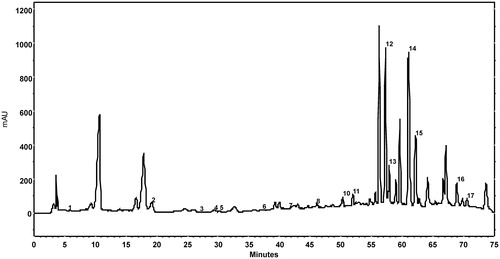 Figure 3. Chromatogram at λ = 278 nm of an walnut leaves extract (79% ethanol concentration, 9.0 v/w liquid to solid ratio, 25 min extraction time) using 1% aqueous acetic acid solution in mobile phase A, methanol in mobile phase B, and the following gradient: 0–27 min 90% A, 27–55 min 90–60% A, 55–60 min 60% A, 60–62 min 60–56% A, 62–70 min 56% A, 70–71 min 56–90% A and 71–75 min 90% A. Peaks: 1, gallic acid; 2, catechin hydrate; 3, vanillic acid; 4, chlorogenic acid; 5, caffeic acid; 6, syringic acid; 7, epicatechin; 8, p-coumaric acid; 9, ferulic acid; 10, sinapic acid; 11, salicylic acid; 12, rutin; 13, ellagic acid; 14, myricetin; 15, juglone; 16, trans-cinnamic acid; 17, quercetin.