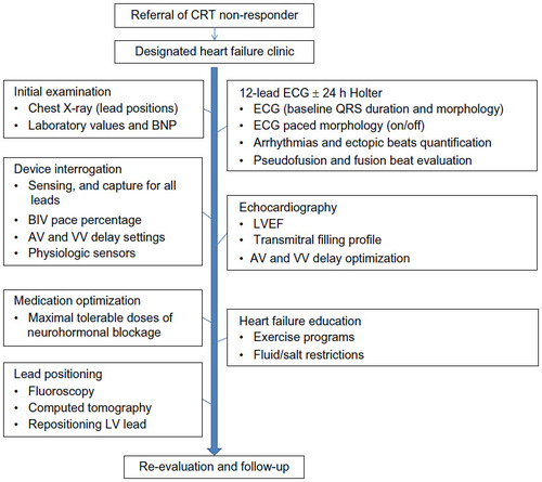 Figure 3 Stepwise assessment of a non-responder to cardiac resynchronization therapy.