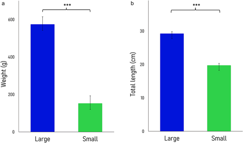 Figure 1. Barplots displaying the average weight (A) and length (B) of Nile tilapia females between the large (fast-growing, dark blue) and small phenotypes (slow-growing, green). Asterisks reflect significant differences for both weight and length between fish with distinct growth rates (one-tailed t-test, p-value <0.0001). Data are represented as means ± standard deviations (n = 5).
