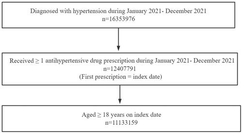 Figure 1. Patient disposition.