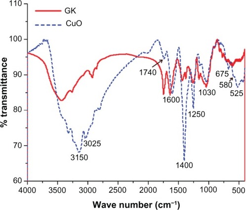 Figure 3 FTIR analysis of GK and CuO nanoparticles indicating the involvement of various functional groups in the formation of metal oxide nanoparticles.Abbreviations: FTIR, Fourier transform infrared spectroscopy; GK, gum karaya; CuO, copper oxide.