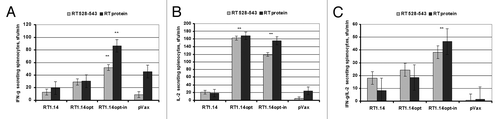 Figure 5. Cellular immune response against HIV-1 RT in BALB/c mice immunized by intradermal injections of the viral gene encoding multi-drug resistant RT (RT1.14; n = 5), a codon-optimized synthetic gene encoding enzymatically active (RT1.14opt; n = 5) or inactivated RT1.14 (RT1.14opt-in; n = 5), all followed by electroporation. Control mice (n = 5) received the empty vector. Net production of IFN-γ (A), IL-2 (B) and dual IFN-γ/IL-2 (C) by mouse splenocytes stimulated with an RT peptide (RT aa 528–543) or recombinant RT1.14 (RT protein) assessed by the dual IFN-γ/IL-2 Fluorospot. Stimulations were repeated twice. Average levels of cytokine production in response to medium alone were subtracted from the experimental values. Levels of cytokine production higher than that by the viral RT1.14 and by the empty vector are designated by ** (p < 0.05, Mann-Whitney U-test).