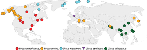 Figure 1. Map of the Northern Hemisphere with locations of samples used in this study. Extant species are represented by circles and fossil species represented by triangles.