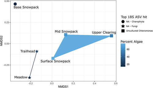 Figure 3. Nonmetric multidimensional scaling plot using Bray-Curtis dissimilarity matrix on 16S rRNA gene community composition of snow samples from Mount Baker. The dissimilarity between 16S rRNA gene community composition with the relative percent of algae from the 18S rRNA gene community composition as a variable, dark blue (low percentage algae) to light blue (high percentage algae). Each sample site shape represents the most abundant 18S rRNA gene ASV within the respective sample. Sites with a higher percentage of algae ASVs relative to fungi ASVs group together (mid snowpack, surface snowpack, and upper clearing), whereas sites with a lower percentage of algae ASVs relative to a higher percentage of fungi ASVs group together (meadow and trailhead). The base snowpack site was an outlier due to the top ASV being classified as a Charophyta, which was associated with the honeysuckle plant.