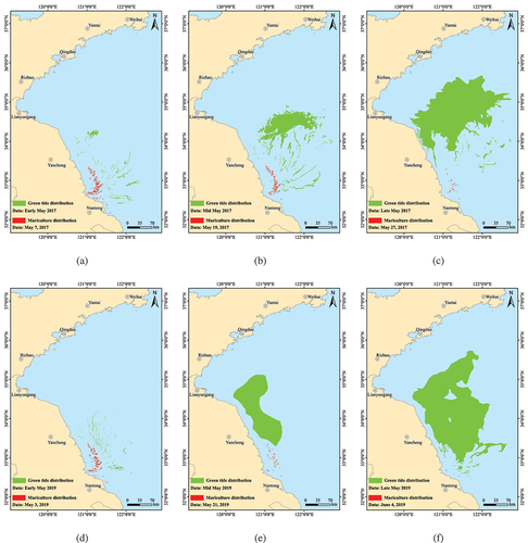 Figure 7. Spatiotemporal dynamical distribution of the early green tides and marine aquaculture in the Jiangsu Shoal. (a)-(c) 2017, (d)-(f) 2019.