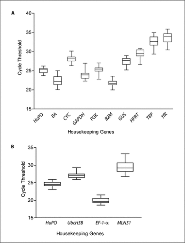 Figure 1.  Real-time PCR cycle threshold values in blood samples. Expression levels of group 1 genes (A) and group 2 genes (B) are shown as medians (lines), 25th percentile to the 75th percentile (boxes) and ranges (whiskers) for 16 human blood samples (4 healthy and 4 tuberculosis patients at two time points 4 h apart). HuPO, human acidic ribosomal protein; BA, β-actin; CYC, cyclophylin; GAPDH, glyceraldehyde-3-phosphate dehydrogenase; PGK, phosphoglycerokinase; B2M, β2-microglobulin; GUS, β-glucuronidase; HPRT, hypoxanthine phosphoribosyltransferase; TBP, transcription factor IID TATA binding protein; TfR, transferrin receptorl; UbcH5B, ubiquitin conjugating enzyme; EF-1-α, elongation factor-1-α; MLN51, metastatic lymph node 51.