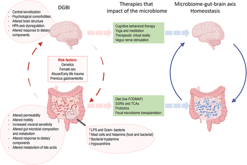 Figure 1. The role of microbiome in disorders of gut brain interaction (DGBI).