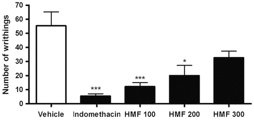 Figure 1. Effect of different doses of oral HMF on acetic acid-induced writhing test in mice. Vehicle, indomethacin 10 mg/kg, and HMF 100, 200, and 300 mg/kg were administered orally 60 min before acetic acid 0.6% injection. The number of writhings was counted for 30 min. The values of each column represent the mean ± SEM. ANOVA followed by the Newman–Keuls test, used as post hoc. Significant values: ***p < 0.001 and *p < 0.05 compared with vehicle.