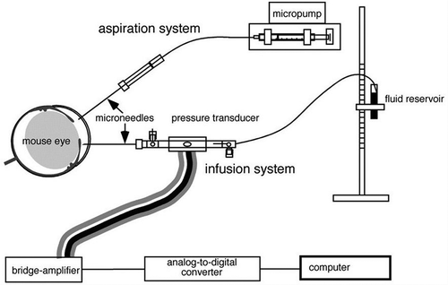 Figure 4. Invasive methods to measure IOP and outflow facility