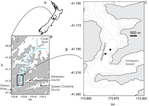 Figure 2. Map showing A, New Zealand; B, Pelorus Sound and its main channel (blue), the Pelorus River, the large inlet of Keneperu Sound and the adjacent but unconnected Queen Charlotte Sound. C, Shows the study site Hikapu Reach, where the grey lines are 10 m contours. The square is the RDCP/Vector mooring and the diamond is the approximate location of the profiling vessel although this would move on its mooring.