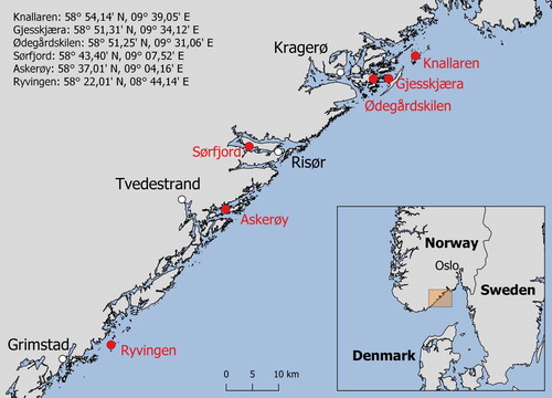 Figure 1. Harbour seal scat sampling locations in red. Kragerø is located in the county of Telemark, while Risør, Tvedestrand and Grimstad are located in Aust-Agder.