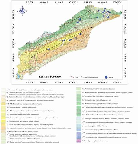 Figure 2. Géologie de la zone d’étude (ANRH, Citation2008).
