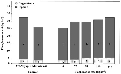 Figure 2. Distribution of phosphorus (P) in vegetative tissues (stems plus leaves) and spike for cultivars and P application rates during the 2015 and 2016 growing seasons for research conducted at the Aberdeen Research and Extension Center, Aberdeen, ID, USA. Different letters between both cultivars indicate significant differences between two cultivars as compared using Fisher’s protected least significant difference (LSD) test at p < 0.05. Different letters among P-application rate indicate significant differences as compared using Tukey’s protected honest significant difference (HSD) test at p < 0.05.