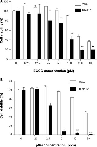 Figure 1 The effects of EGCG and pNG on Vero and B16F10 cell proliferation.