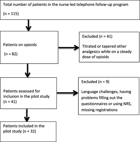 Figure 3 Patients included in the pilot study.