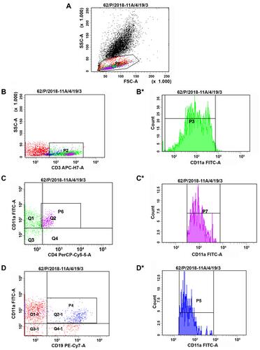 Figure 2 The expression of CD11a on lymphocyte subsets after 6 months follow-up in ITP patient whose response to treatment. (A) Lymphocytes were gated by flow cytometry (P1). (B) CD3+ cells gated by flow cytometry (P2). (B*) MFI of CD11a gated on CD3+ cells (P3). (C) Expression of CD11a on CD3+CD4+ T cells (P6). (C*) MFI of CD11a gated on CD3+CD4+ T cells (P7). (D) Expression of CD11a on CD19+ cells (P4). (D*) MFI of CD11a gated on CD19+ cells (P5).