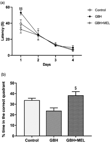 Figure 6. Effects of GBH (75 mg/kg) and MEL (4 mg/kg) administration on (a) latency to reach the hidden platform on each of the 4 days of the learning phase. (b) Percentage of time spent in the correct quadrant in the probe trial expressed as %. The data are presented as mean ± S.E.M of 6 animals/group. $p <0.05, $$p <0.01 compared with the GBH group.